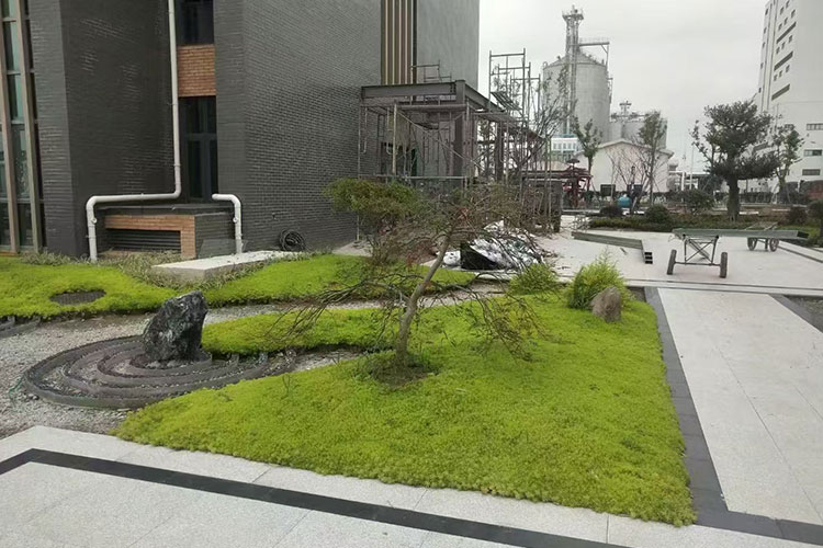 合肥庭院设计施工一体化流程
