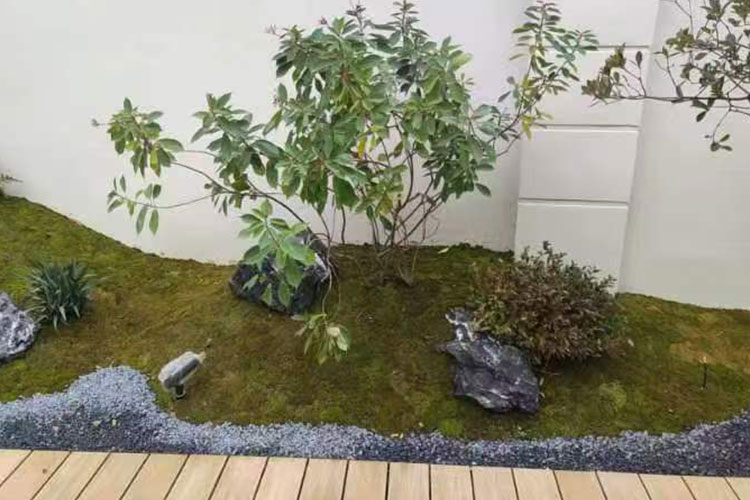 绿植造景