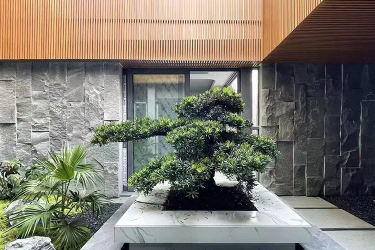 绿植造景