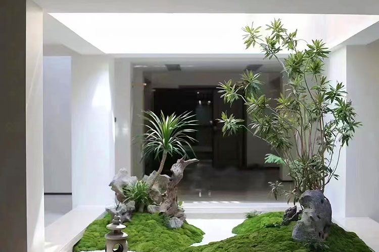 绿植造景